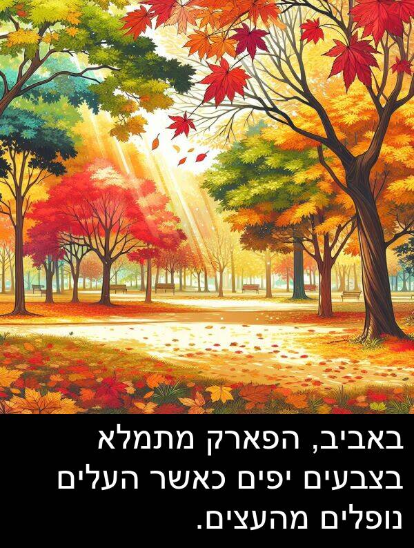 באביב: באביב, הפארק מתמלא בצבעים יפים כאשר העלים נופלים מהעצים.