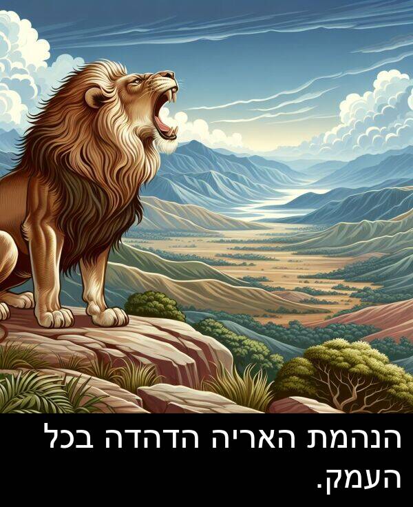 האריה: הנהמת האריה הדהדה בכל העמק.