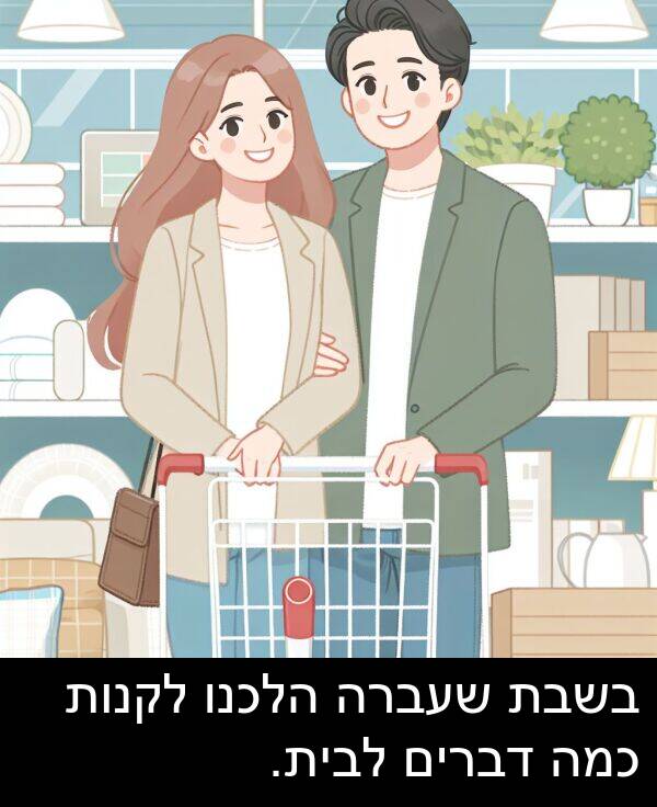 דברים: בשבת שעברה הלכנו לקנות כמה דברים לבית.