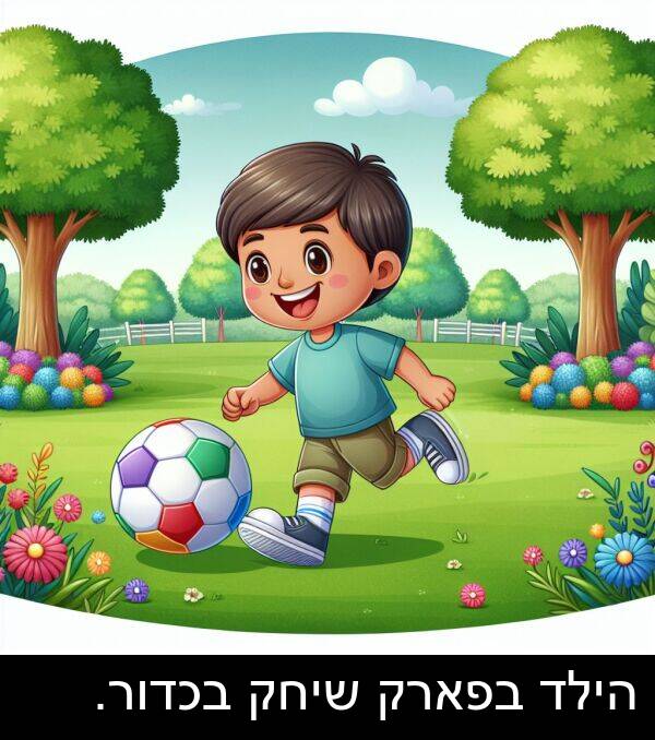 הילד: הילד בפארק שיחק בכדור.