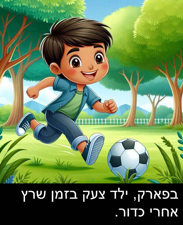צעק: בפארק, ילד צעק בזמן שרץ אחרי כדור.