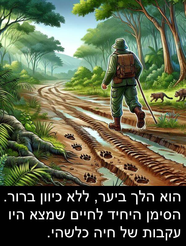 עקבות: הוא הלך ביער, ללא כיוון ברור. הסימן היחיד לחיים שמצא היו עקבות של חיה כלשהי.