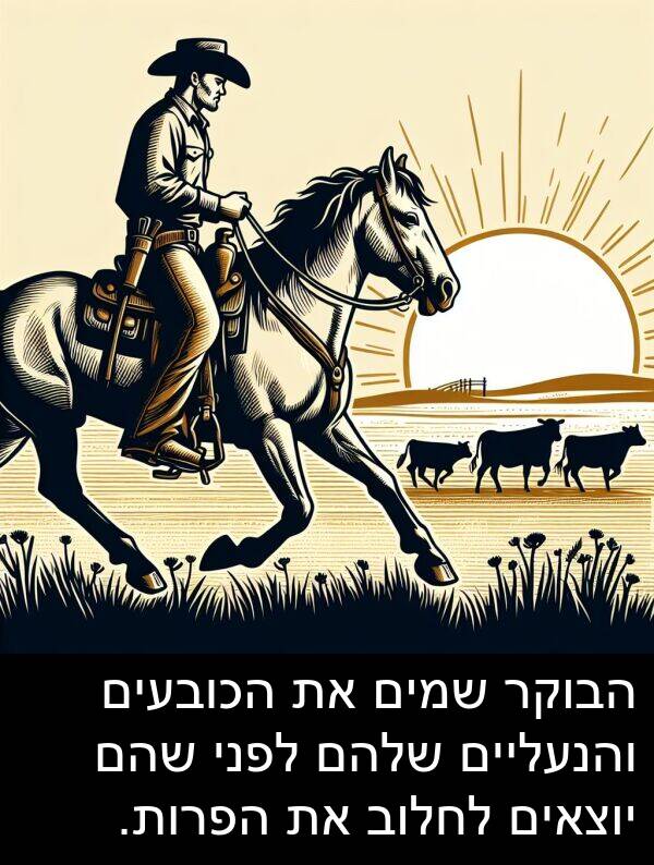 יוצאים: הבוקר שמים את הכובעים והנעליים שלהם לפני שהם יוצאים לחלוב את הפרות.