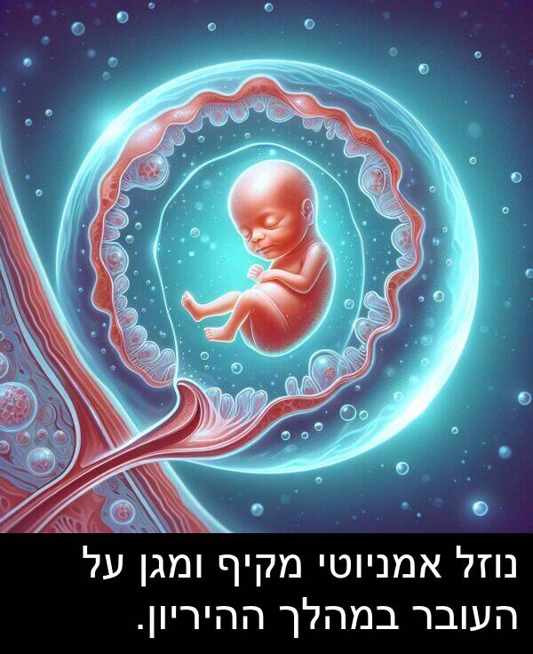 מקיף: נוזל אמניוטי מקיף ומגן על העובר במהלך ההיריון.