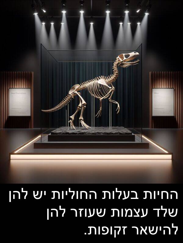 עצמות: החיות בעלות החוליות יש להן שלד עצמות שעוזר להן להישאר זקופות.