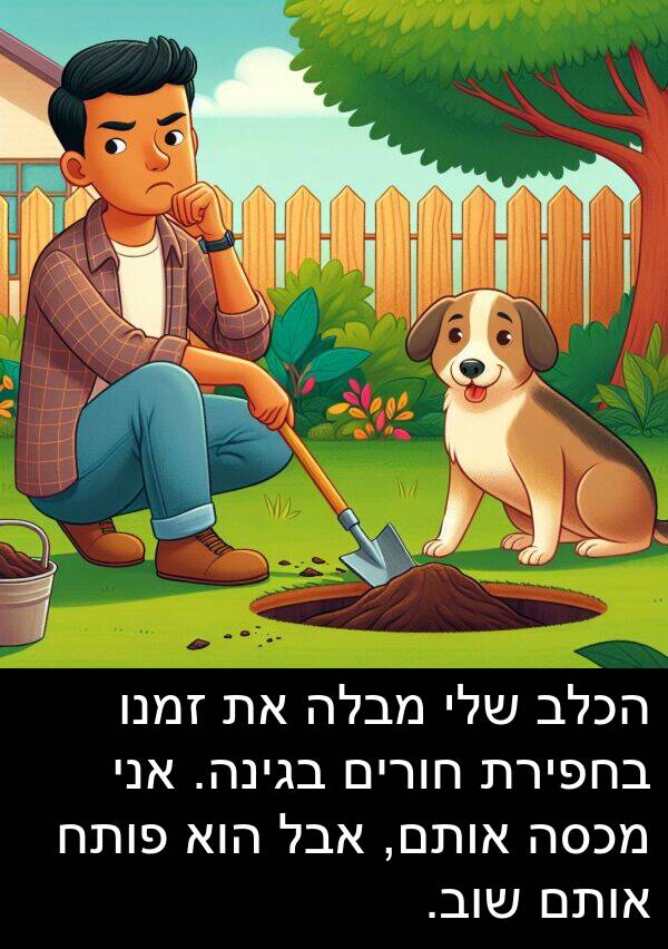 מבלה: הכלב שלי מבלה את זמנו בחפירת חורים בגינה. אני מכסה אותם, אבל הוא פותח אותם שוב.