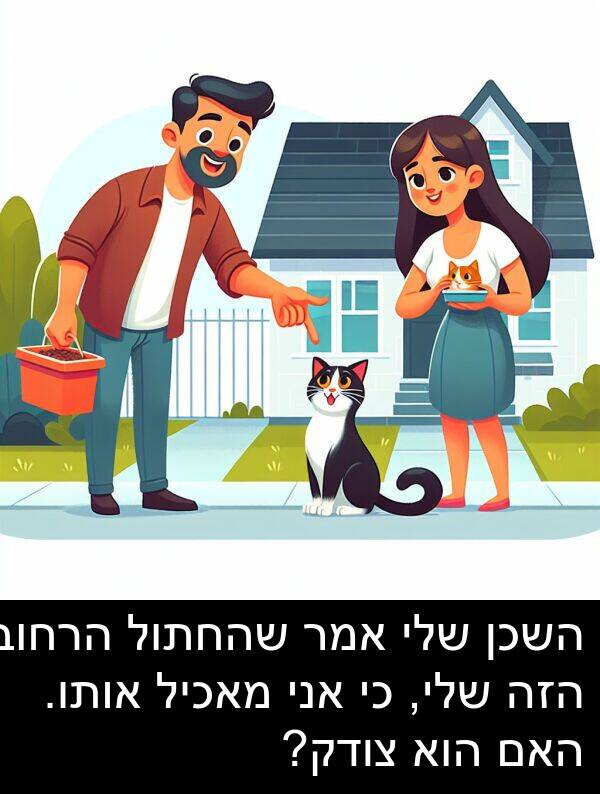 צודק: השכן שלי אמר שהחתול הרחוב הזה שלי, כי אני מאכיל אותו. האם הוא צודק?