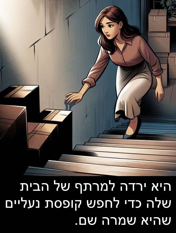 נעליים: היא ירדה למרתף של הבית שלה כדי לחפש קופסת נעליים שהיא שמרה שם.