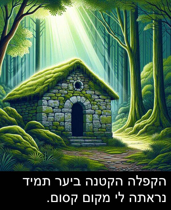 קסום: הקפלה הקטנה ביער תמיד נראתה לי מקום קסום.