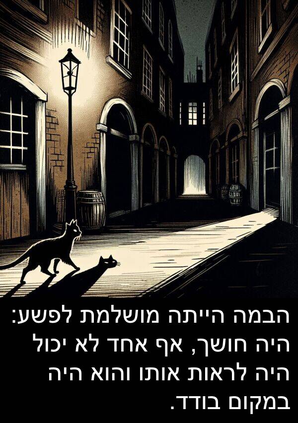 חושך: הבמה הייתה מושלמת לפשע: היה חושך, אף אחד לא יכול היה לראות אותו והוא היה במקום בודד.