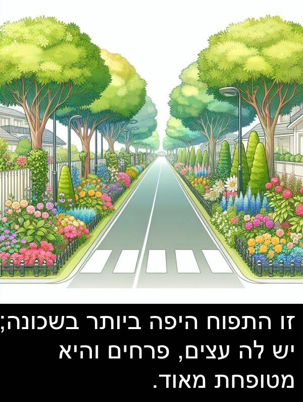 פרחים: זו התפוח היפה ביותר בשכונה; יש לה עצים, פרחים והיא מטופחת מאוד.