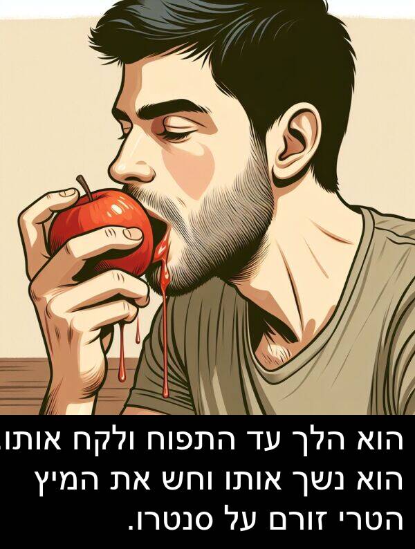 סנטרו: הוא הלך עד התפוח ולקח אותו. הוא נשך אותו וחש את המיץ הטרי זורם על סנטרו.