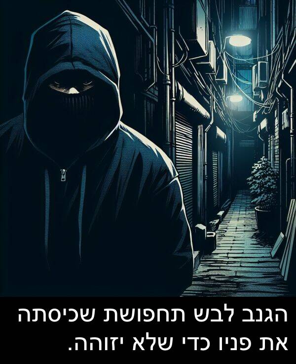 פניו: הגנב לבש תחפושת שכיסתה את פניו כדי שלא יזוהה.
