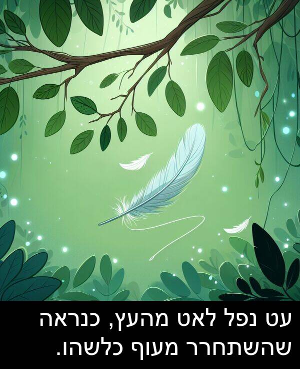 נפל: עט נפל לאט מהעץ, כנראה שהשתחרר מעוף כלשהו.