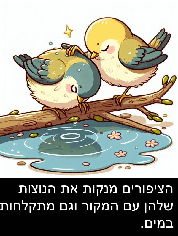 וגם: הציפורים מנקות את הנוצות שלהן עם המקור וגם מתקלחות במים.