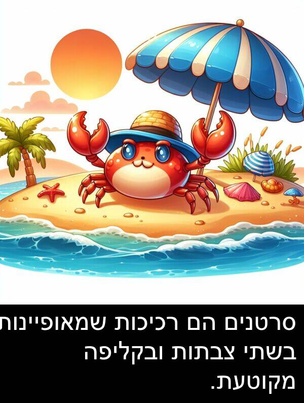 צבתות: סרטנים הם רכיכות שמאופיינות בשתי צבתות ובקליפה מקוטעת.
