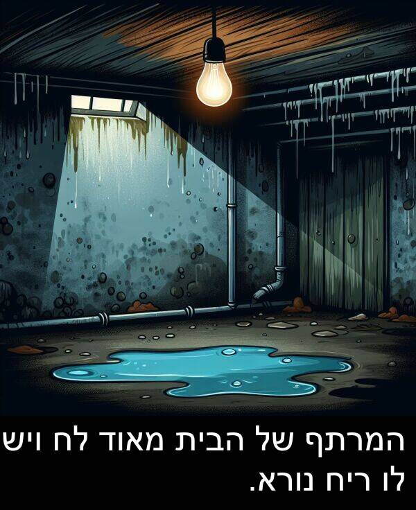 נורא: המרתף של הבית מאוד לח ויש לו ריח נורא.