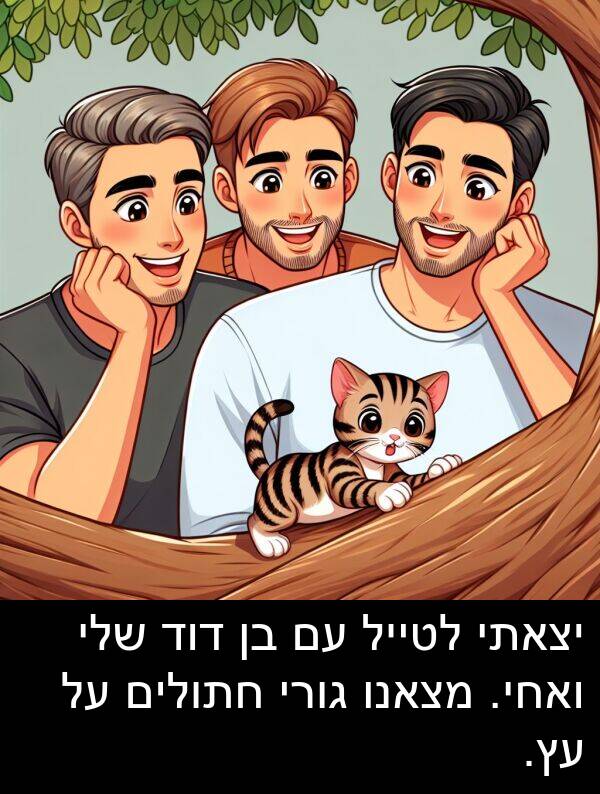 דוד: יצאתי לטייל עם בן דוד שלי ואחי. מצאנו גורי חתולים על עץ.