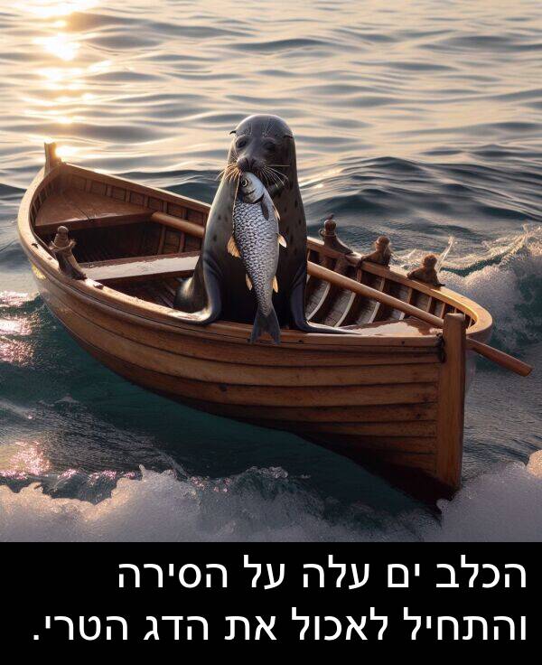 עלה: הכלב ים עלה על הסירה והתחיל לאכול את הדג הטרי.
