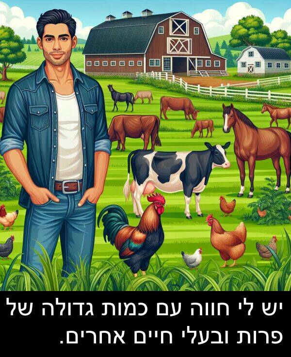 פרות: יש לי חווה עם כמות גדולה של פרות ובעלי חיים אחרים.