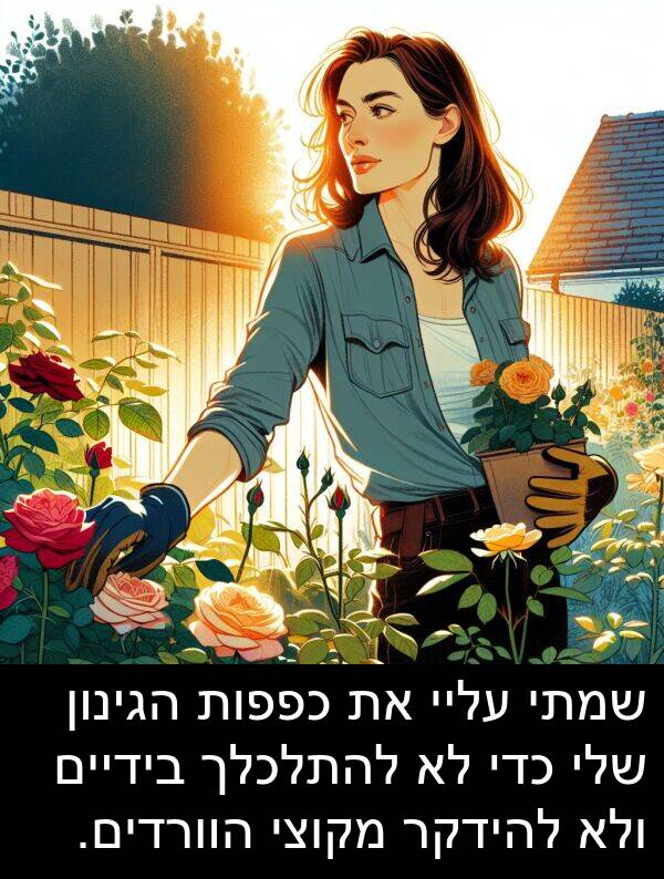 מקוצי: שמתי עליי את כפפות הגינון שלי כדי לא להתלכלך בידיים ולא להידקר מקוצי הוורדים.