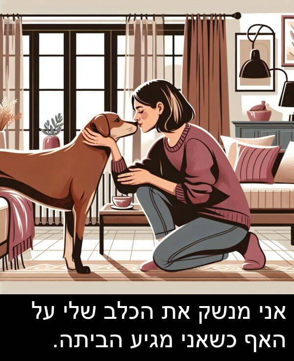 מגיע: אני מנשק את הכלב שלי על האף כשאני מגיע הביתה.