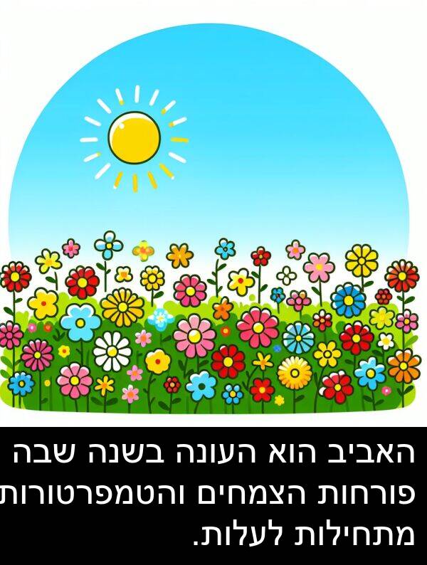 פורחות: האביב הוא העונה בשנה שבה פורחות הצמחים והטמפרטורות מתחילות לעלות.