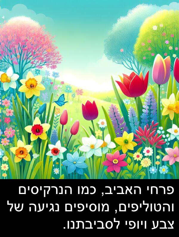 פרחי: פרחי האביב, כמו הנרקיסים והטוליפים, מוסיפים נגיעה של צבע ויופי לסביבתנו.
