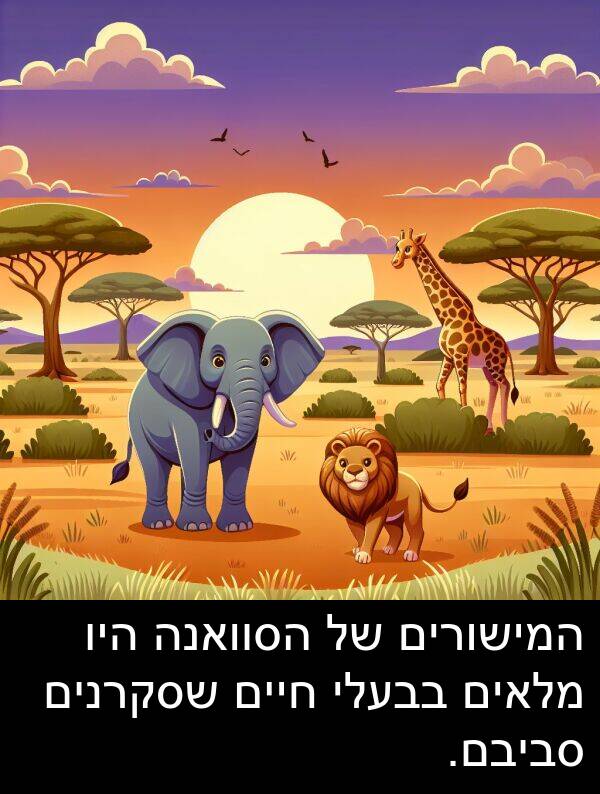 בבעלי: המישורים של הסוואנה היו מלאים בבעלי חיים שסקרנים סביבם.