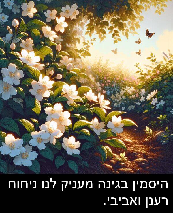 בגינה: היסמין בגינה מעניק לנו ניחוח רענן ואביבי.