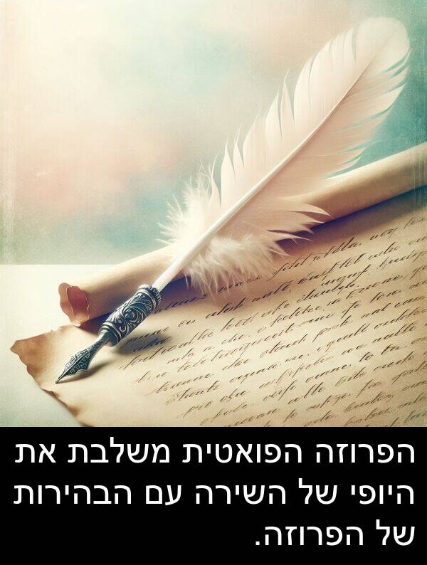 משלבת: הפרוזה הפואטית משלבת את היופי של השירה עם הבהירות של הפרוזה.
