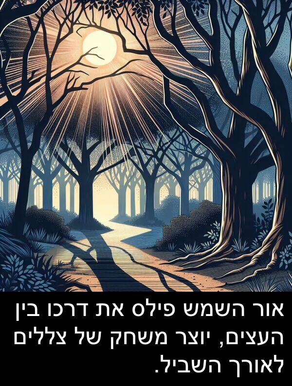 צללים: אור השמש פילס את דרכו בין העצים, יוצר משחק של צללים לאורך השביל.