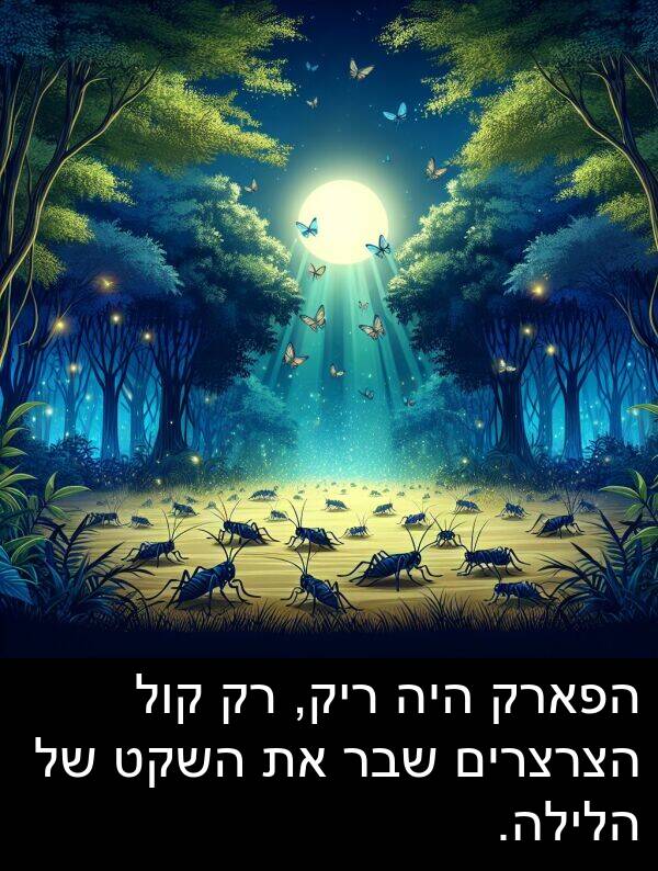 קול: הפארק היה ריק, רק קול הצרצרים שבר את השקט של הלילה.