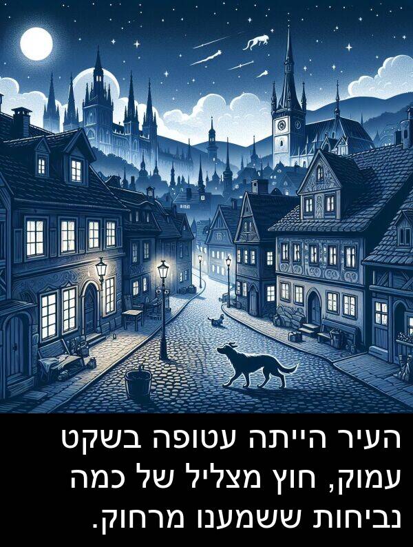 עטופה: העיר הייתה עטופה בשקט עמוק, חוץ מצליל של כמה נביחות ששמענו מרחוק.