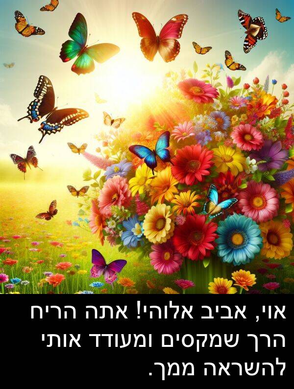 אביב: אוי, אביב אלוהי! אתה הריח הרך שמקסים ומעודד אותי להשראה ממך.