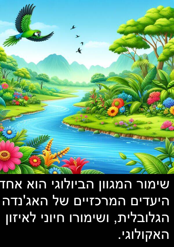 חיוני: שימור המגוון הביולוגי הוא אחד היעדים המרכזיים של האג'נדה הגלובלית, ושימורו חיוני לאיזון האקולוגי.