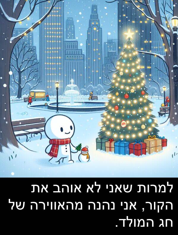 מהאווירה: למרות שאני לא אוהב את הקור, אני נהנה מהאווירה של חג המולד.