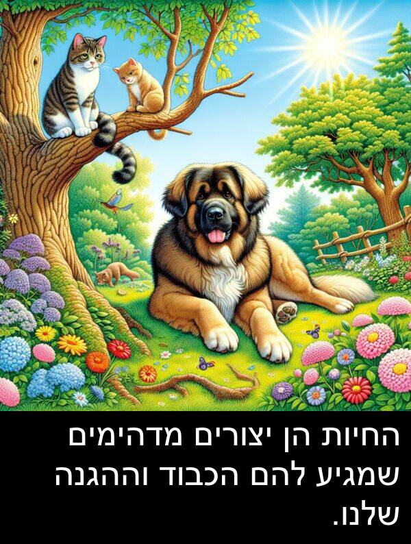 מדהימים: החיות הן יצורים מדהימים שמגיע להם הכבוד וההגנה שלנו.