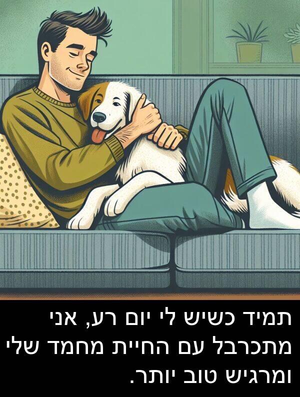 מחמד: תמיד כשיש לי יום רע, אני מתכרבל עם החיית מחמד שלי ומרגיש טוב יותר.