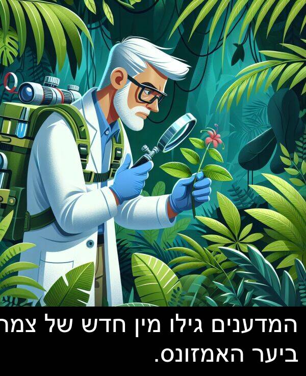 צמח: המדענים גילו מין חדש של צמח ביער האמזונס.