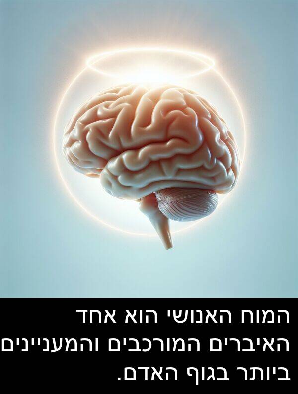 בגוף: המוח האנושי הוא אחד האיברים המורכבים והמעניינים ביותר בגוף האדם.