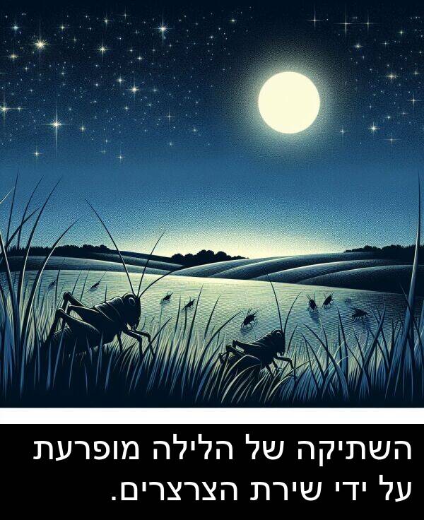 ידי: השתיקה של הלילה מופרעת על ידי שירת הצרצרים.
