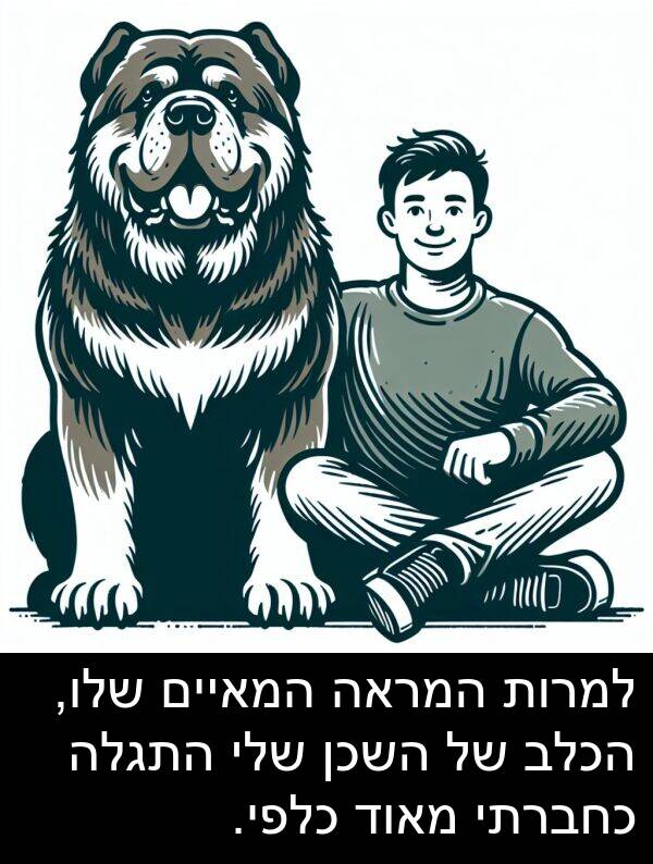 התגלה: למרות המראה המאיים שלו, הכלב של השכן שלי התגלה כחברתי מאוד כלפי.