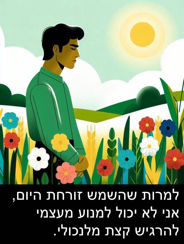 זורחת: למרות שהשמש זורחת היום, אני לא יכול למנוע מעצמי להרגיש קצת מלנכולי.