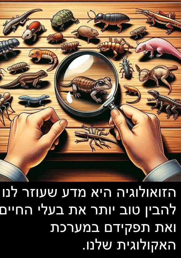 מדע: הזואולוגיה היא מדע שעוזר לנו להבין טוב יותר את בעלי החיים ואת תפקידם במערכת האקולוגית שלנו.
