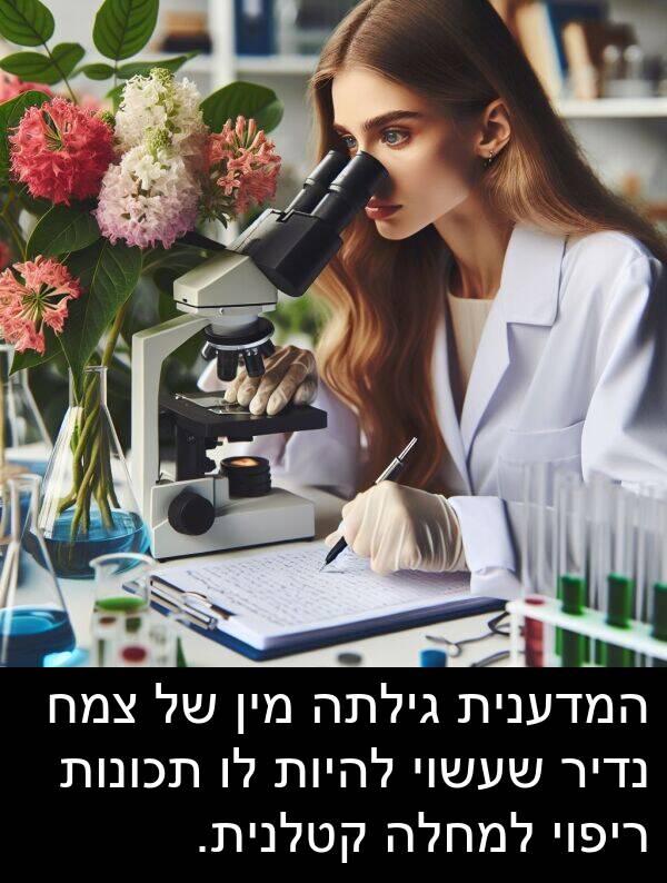 צמח: המדענית גילתה מין של צמח נדיר שעשוי להיות לו תכונות ריפוי למחלה קטלנית.