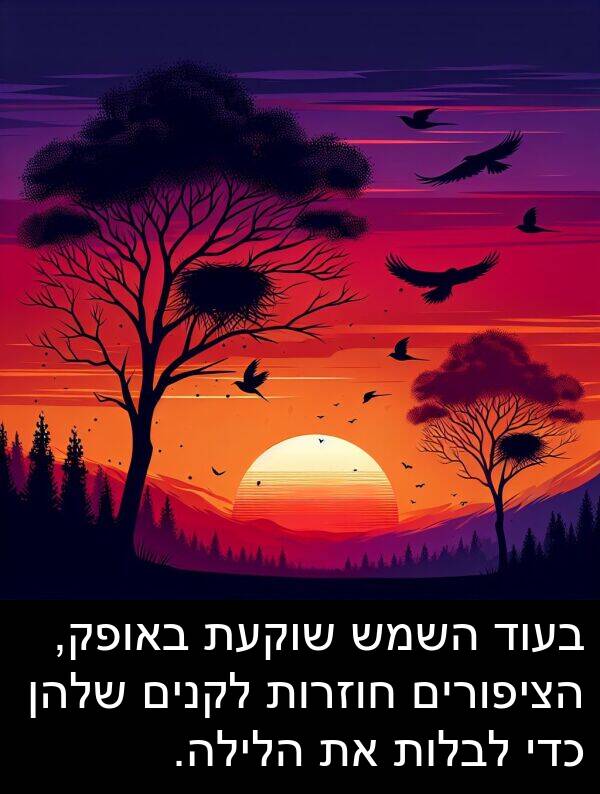 באופק: בעוד השמש שוקעת באופק, הציפורים חוזרות לקנים שלהן כדי לבלות את הלילה.