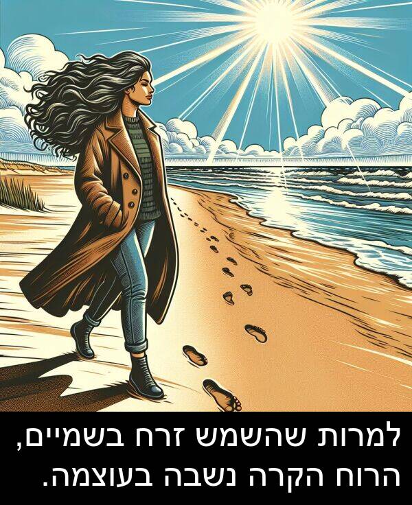 זרח: למרות שהשמש זרח בשמיים, הרוח הקרה נשבה בעוצמה.