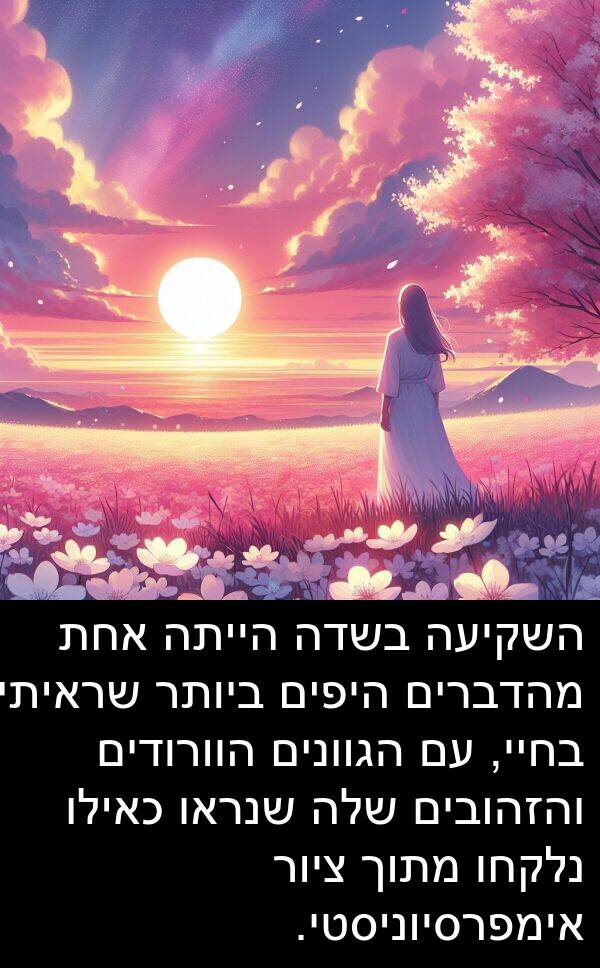 ציור: השקיעה בשדה הייתה אחת מהדברים היפים ביותר שראיתי בחיי, עם הגוונים הוורודים והזהובים שלה שנראו כאילו נלקחו מתוך ציור אימפרסיוניסטי.