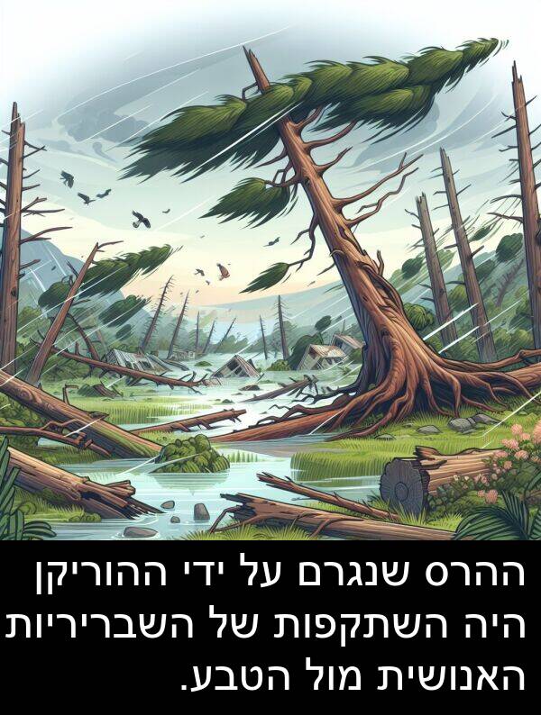האנושית: ההרס שנגרם על ידי ההוריקן היה השתקפות של השבריריות האנושית מול הטבע.